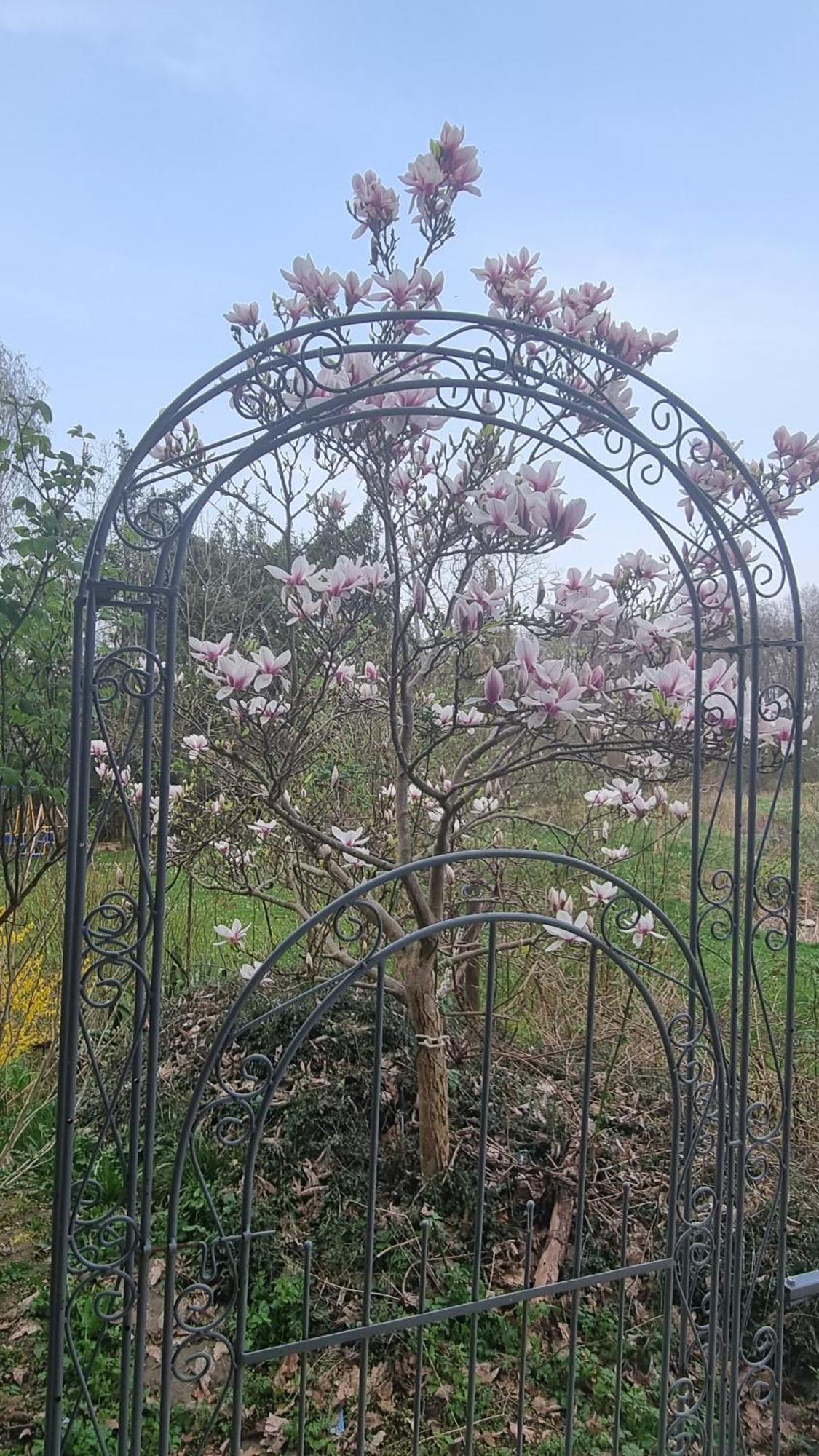 Altmarkblick Erbenhausen Ngoại thất bức ảnh